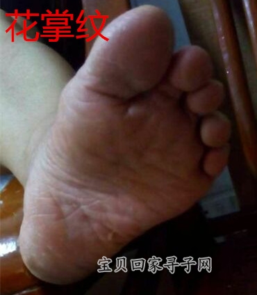 QQ图片20150711235924_副本.jpg