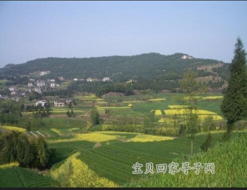 这样的高山.jpg