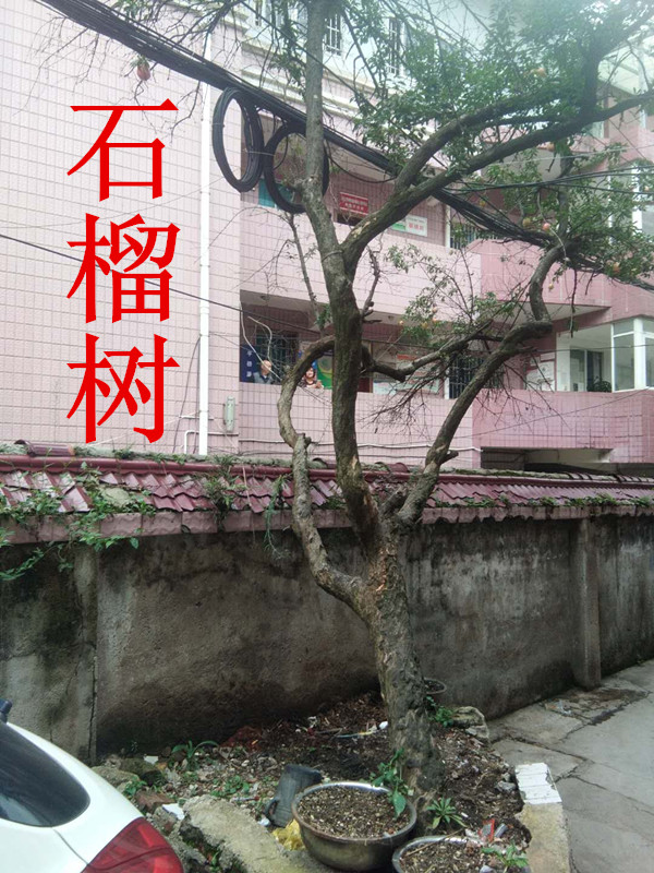 微信图片_20200924152550_副本.jpg