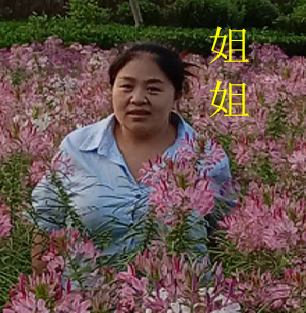 重庆寻亲人蒲东群.png