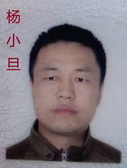 杨小旦.jpg