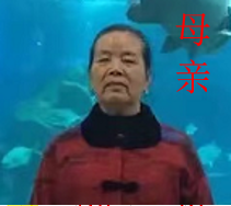 湖南寻亲人胡春娥.png