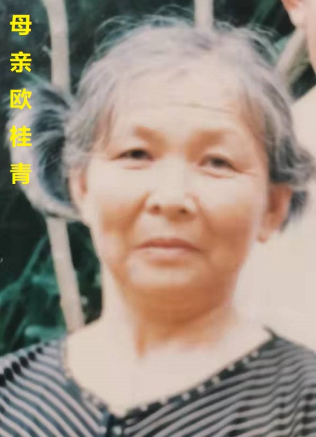 母亲欧桂青