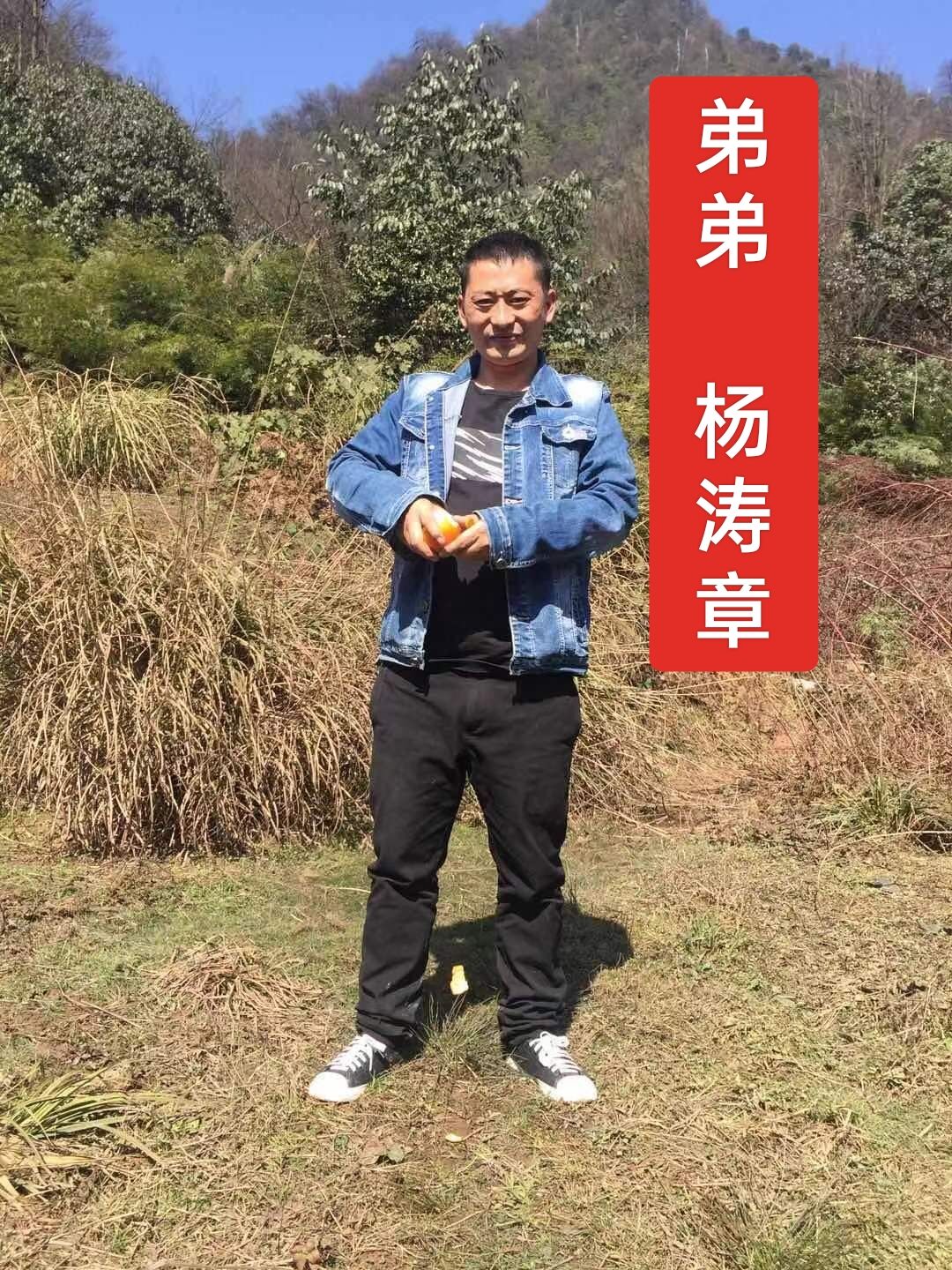 杨涛章.jpg