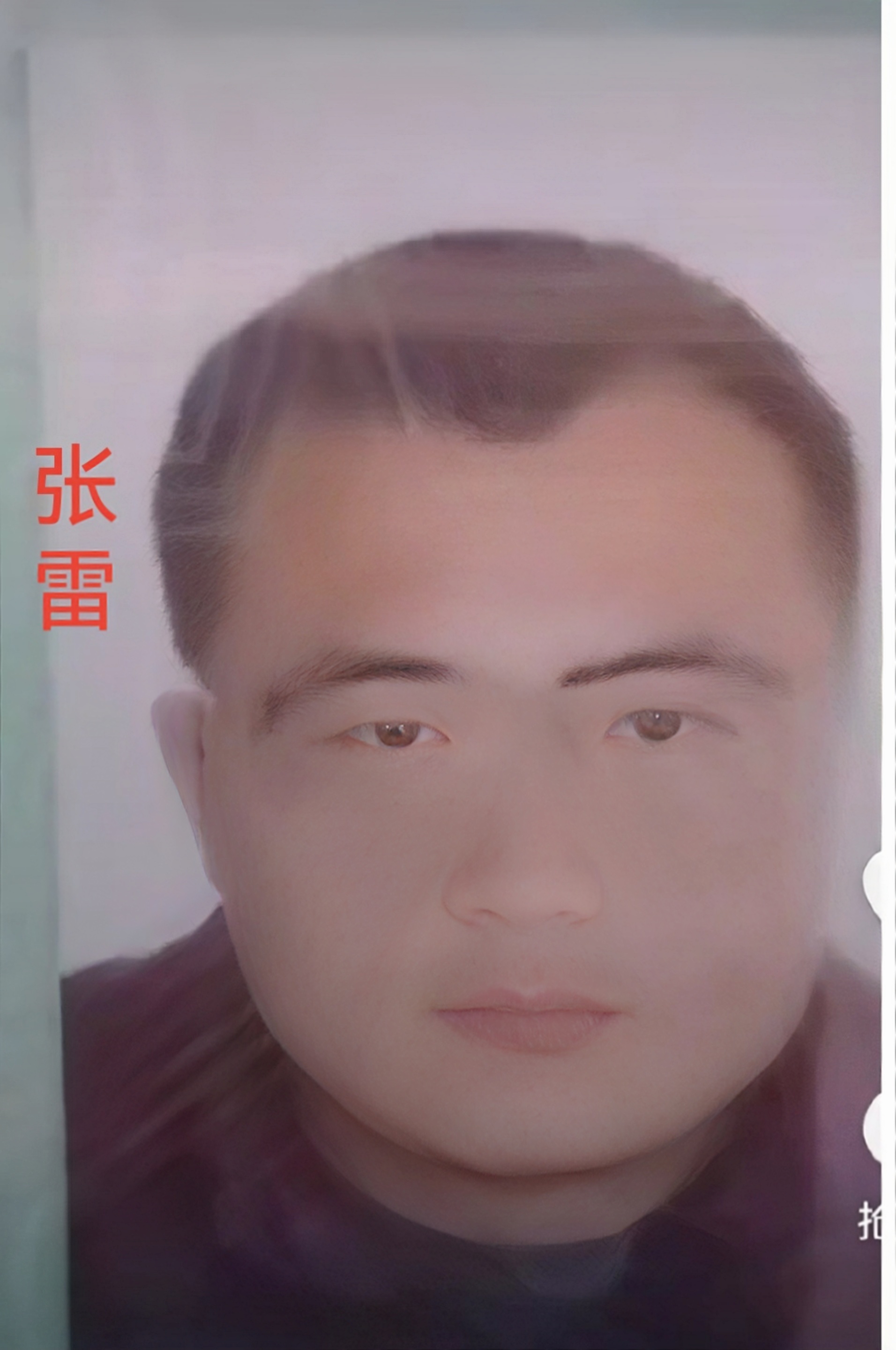 张雷1.jpg