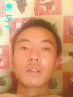 唐彦飞1.png